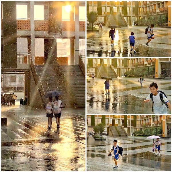 曾庆领《雨光同行》