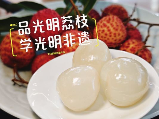 品光明荔枝 学光明非遗