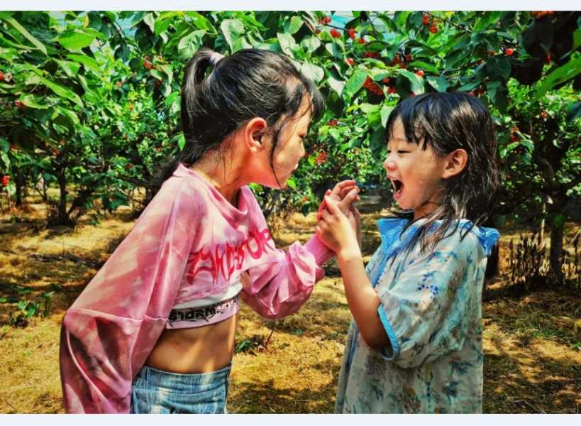 李慧《诱人的樱桃》