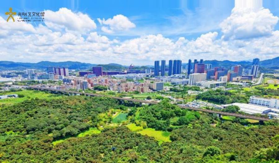 秦臻《光明科学城》