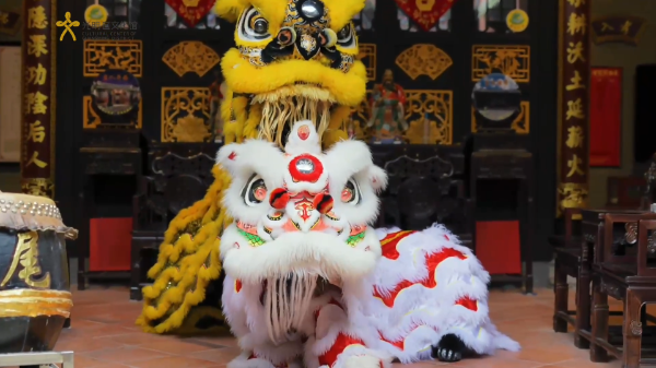 区级非遗保护名录 塘尾社区传统醒狮舞