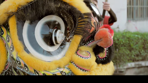 区级非遗保护名录 石围醒狮舞