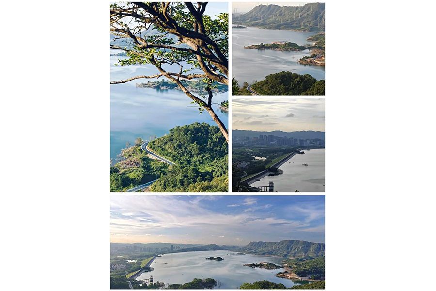 袁强《俯瞰光明湖》