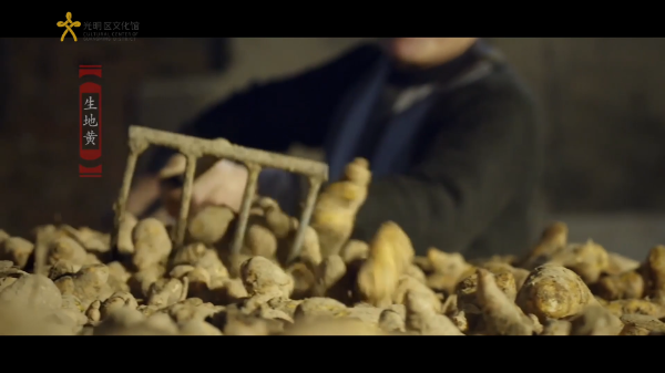 区级非遗保护名录 九蒸九晒熟地黄炮制技艺